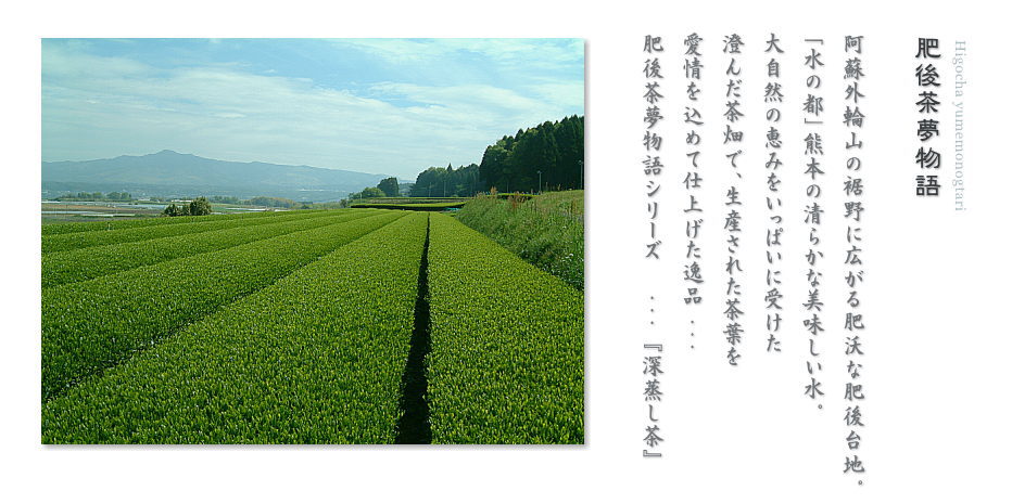 肥後茶夢物語　深蒸し茶